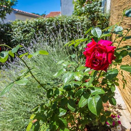 Apartment Rosse بوريتش المظهر الخارجي الصورة