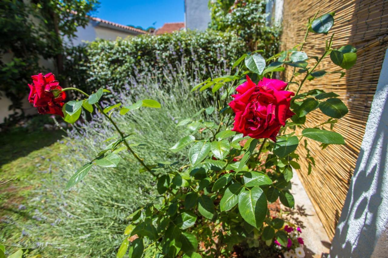 Apartment Rosse بوريتش المظهر الخارجي الصورة